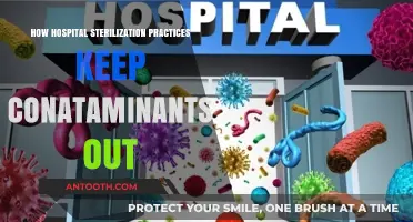 Sterilization Strategies: Keeping Contaminants at Bay