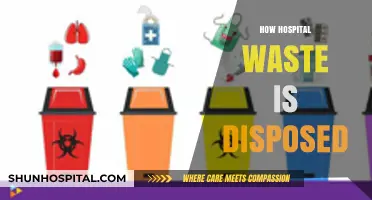 Safe Disposal of Hospital Waste: Methods, Challenges, and Best Practices