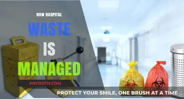 Efficient Hospital Waste Management: Strategies, Challenges, and Sustainable Solutions
