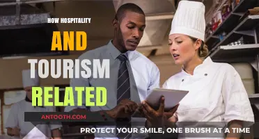 Exploring the Dynamic Connection Between Hospitality and Tourism Industries