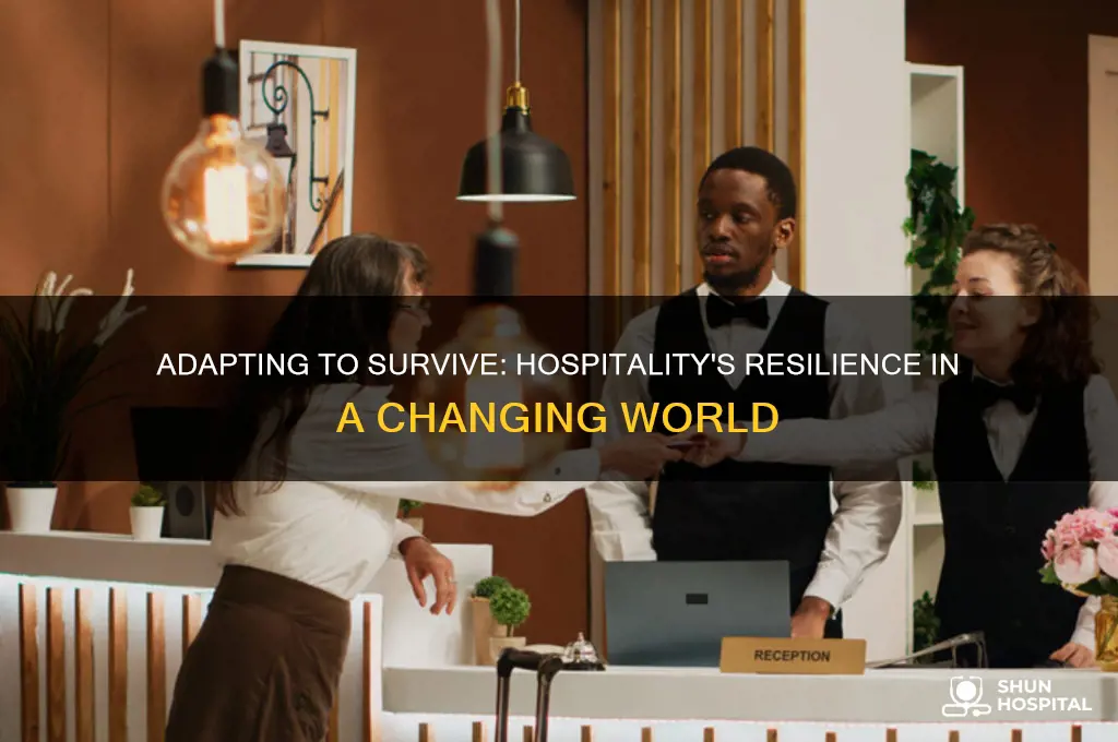 how hospitality businesses have adapted