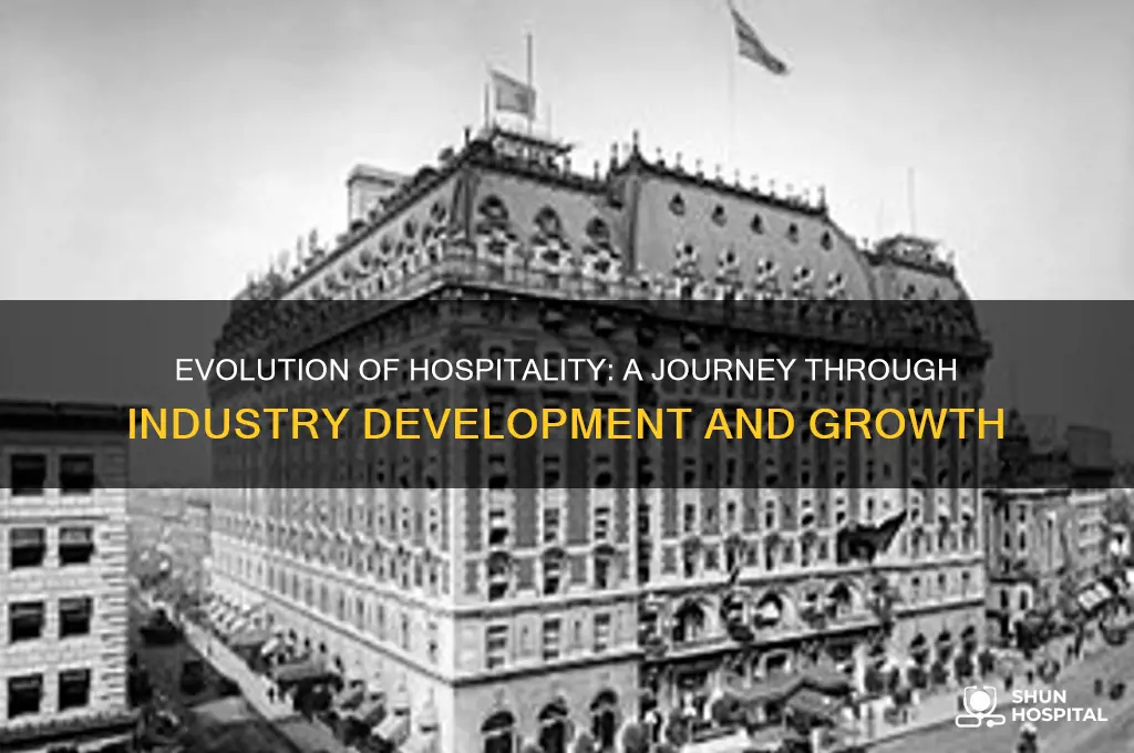how hospitality industry developed