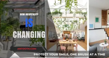 Evolving Hospitality: Trends Shaping the Future of Guest Experiences
