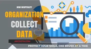 Data Collection Strategies in Hospitality: Enhancing Guest Experiences and Operations