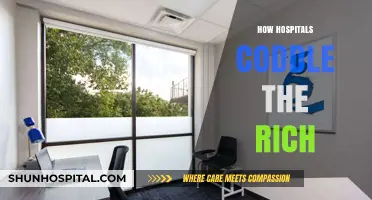 Luxury Healthcare: How Hospitals Cater to the Wealthy Elite