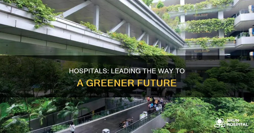 how hospitals contribute to a cleaner environment