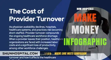Unveiling Hospital Revenue Streams: A Comprehensive Infographic Guide