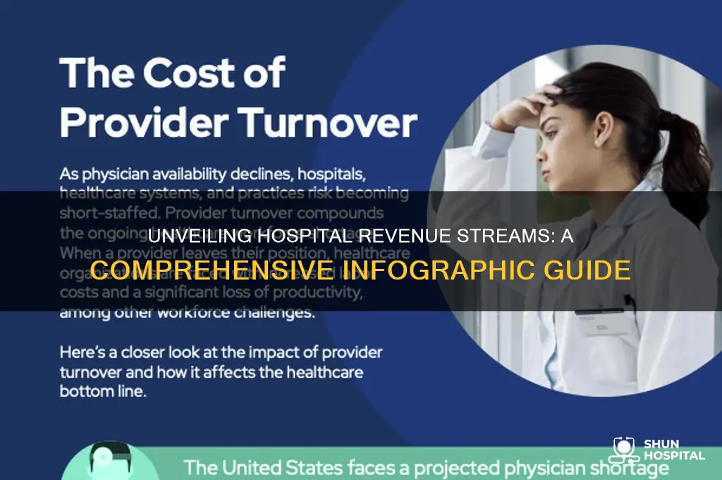 how hospitals make money infographic