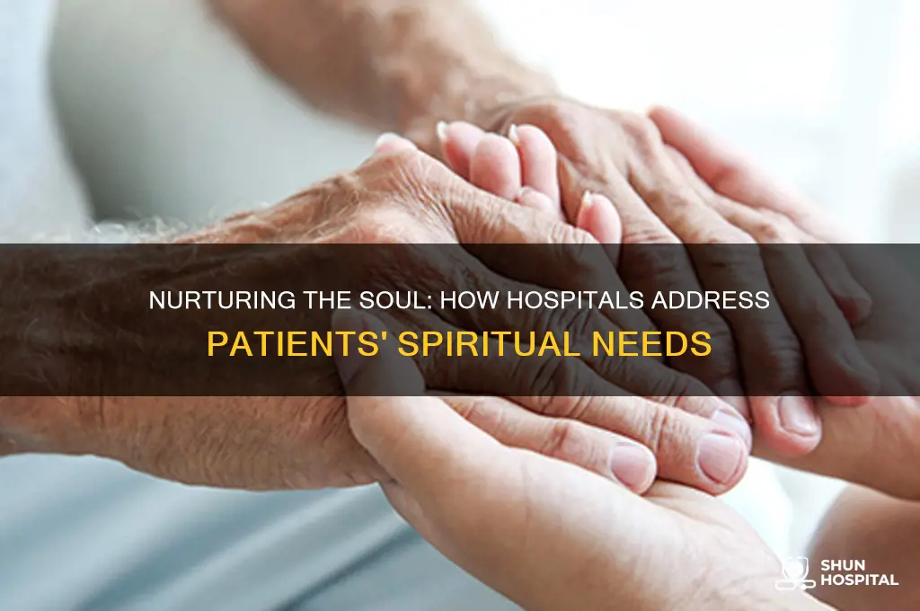 how hospitals meet spiritual needs