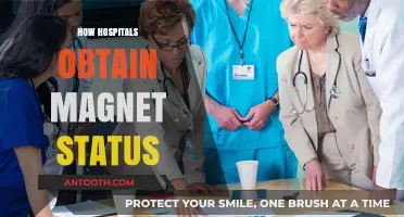 Achieving Magnet Status: A Guide for Hospitals to Excel in Nursing Care
