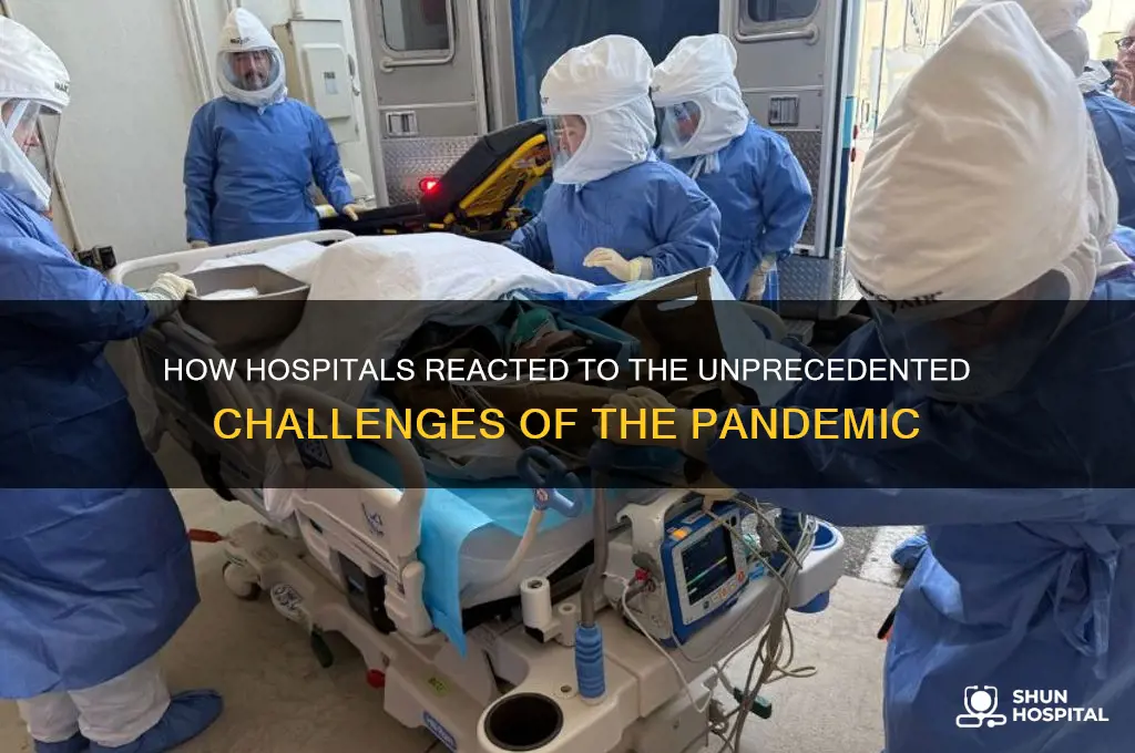how hospitals reacted to