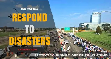Hospitals in Crisis: Strategies for Effective Disaster Response and Recovery