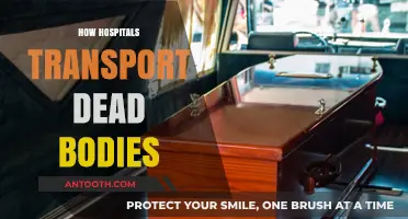 Respectful Transit: How Hospitals Handle Deceased Patient Transportation