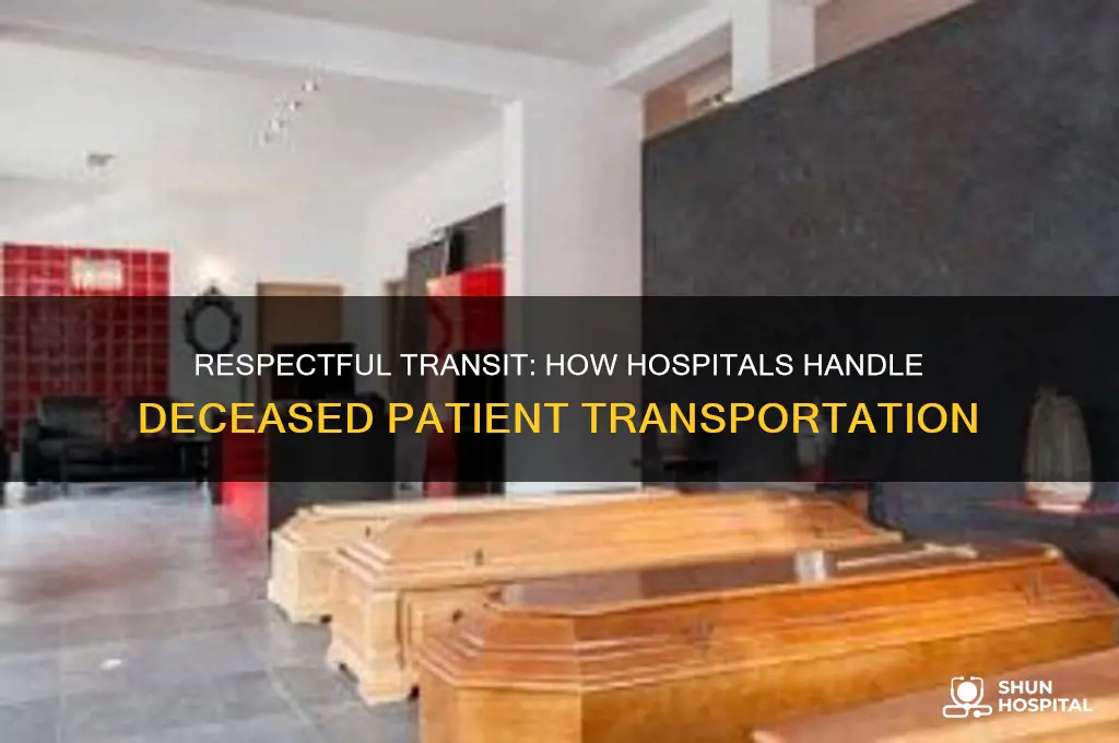 how hospitals transport dead bodies