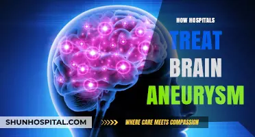 Advanced Brain Aneurysm Treatment: Hospital Procedures and Patient Care Explained