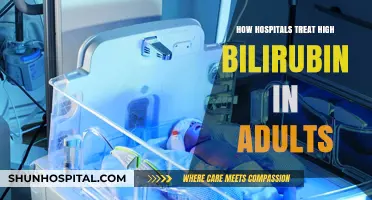 Effective Treatments for High Bilirubin Levels in Adults
