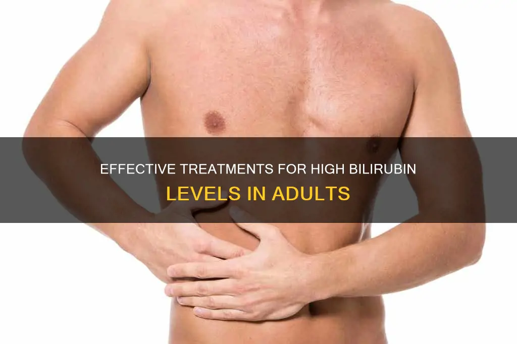 how hospitals treat high bilirubin in adults