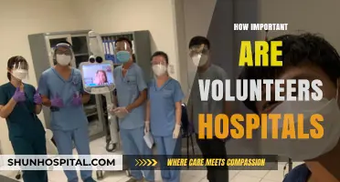 Volunteers in Hospitals: Unsung Heroes Shaping Healthcare Impact