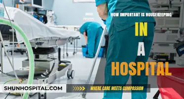 Hospital Housekeeping: A Critical Role in Patient Care