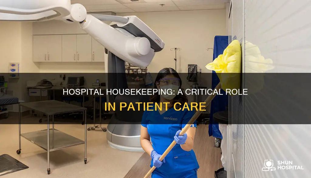 how important is housekeeping in a hospital