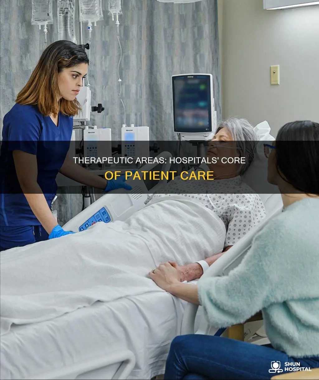 how important is therapeutic areas in hospitals