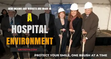 Hospital Finances Unveiled: Understanding Income and Budget Creation Process