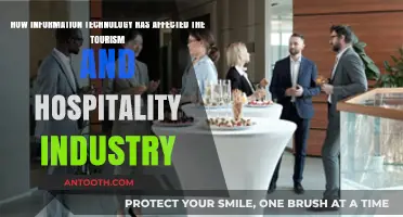 Transforming Tourism: IT's Impact on Hospitality and Travel Experiences