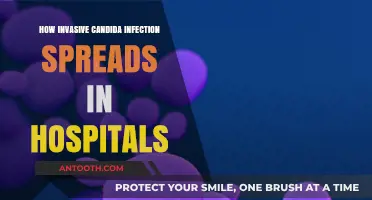 The Stealthy Spread of Candida Infections in Hospitals