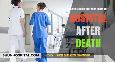 Understanding the Process of Hospital Release After a Patient's Death