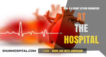 Diagnosing Heart Attacks: Hospital Procedures and Tests Explained