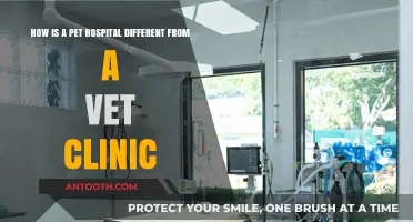Pet Hospital vs. Vet Clinic: Key Differences Explained
