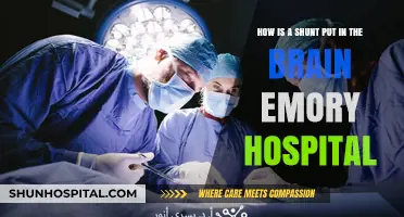 Understanding Brain Shunt Placement at Emory Hospital: A Comprehensive Guide