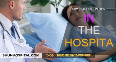 Abortion Procedures: What to Expect in the Hospital