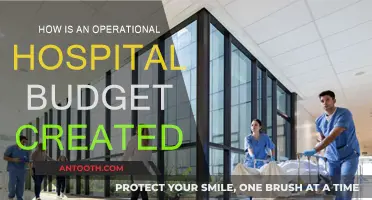 Creating a Hospital Budget: A Step-by-Step Guide