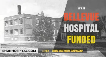 Understanding Bellevue Hospital's Funding Sources and Financial Sustainability