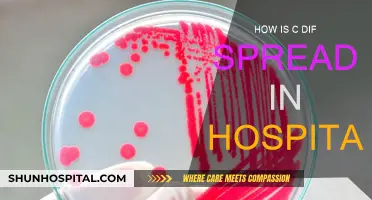 C. diff In Hospitals: Understanding the Spread