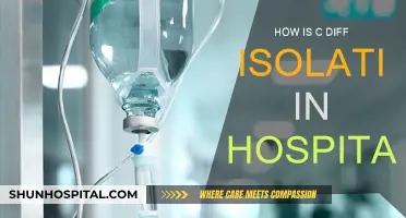 C. diff Isolation: Hospital Strategies to Prevent Spread