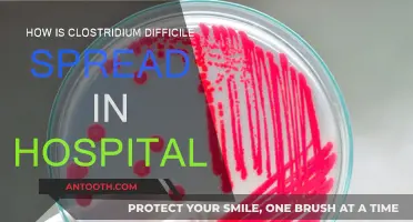 C. Difficile: Hospital Spread and Prevention Strategies
