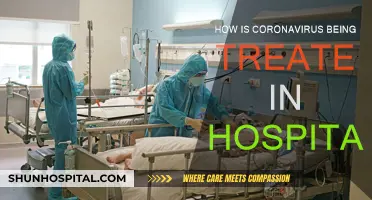 Coronavirus Treatment: Hospital Strategies and Protocols