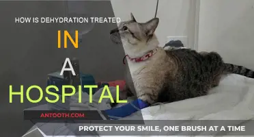 Treating Dehydration: Hospital Procedures and Techniques