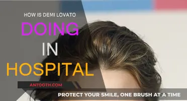 Demi Lovato's Hospitalization: What We Know So Far
