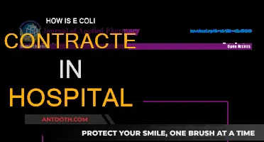Hospitals' E. coli Infections: Causes and Prevention