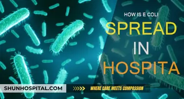 Preventing E. coli Spread: Hospitals' Role
