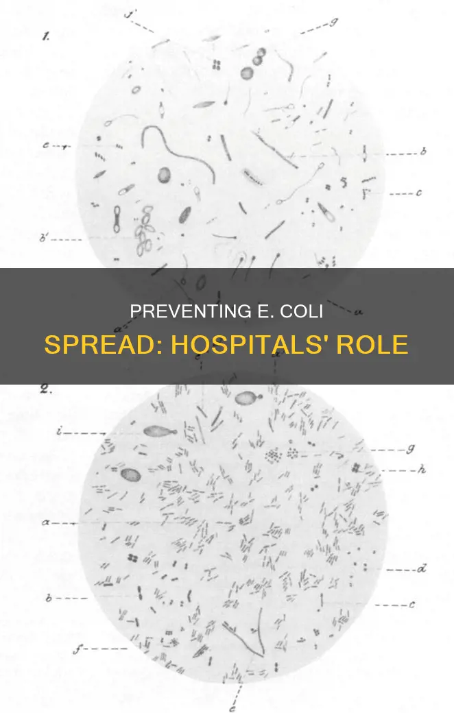 how is e coli spread in hospitals