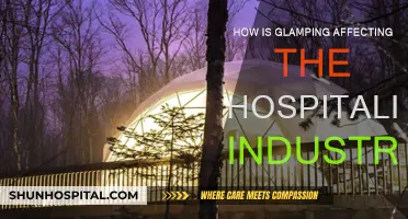 Glamping's Impact: Hospitality's Newest Trend