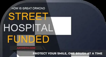 Funding Great Ormond Street Hospital: Where Does the Money Come From?
