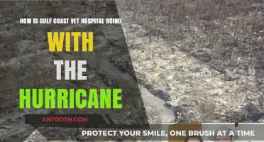 Gulf Coast Vet Hospital's Resilience Amid Hurricane Challenges and Recovery