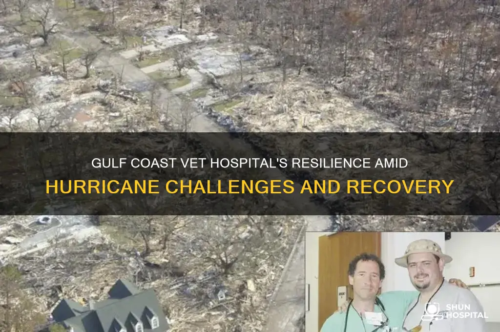 how is gulf coast vet hospital doing with the hurricane