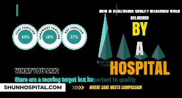 Evaluating Hospital Healthcare Quality: Metrics, Standards, and Patient Outcomes