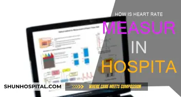 Measuring Heart Rate: Hospital Methods and Techniques